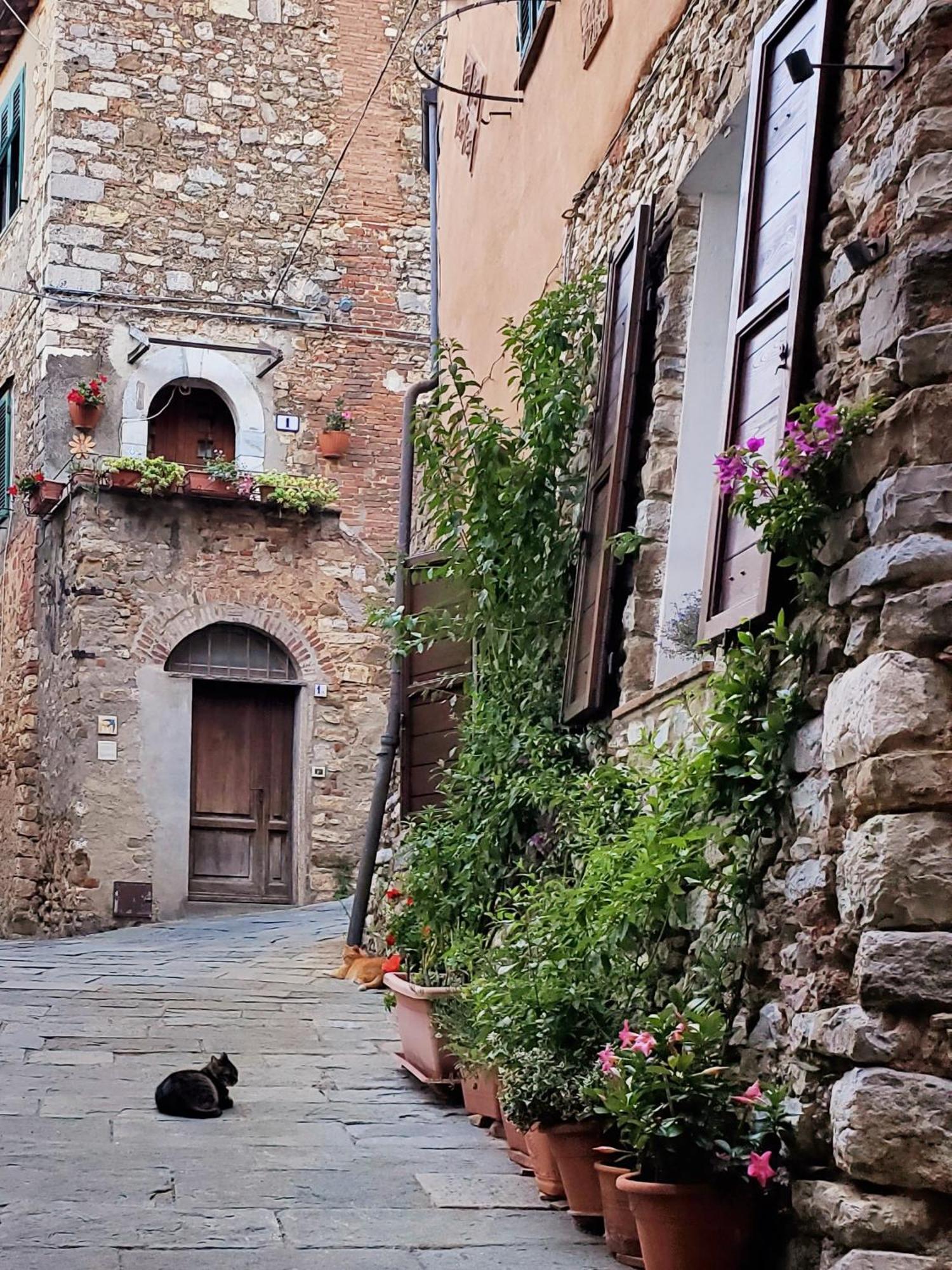 Casina Toscana, Cozy Studio In The Heart Of Campiglia Marittima With Free Wi-Fi Exterior foto